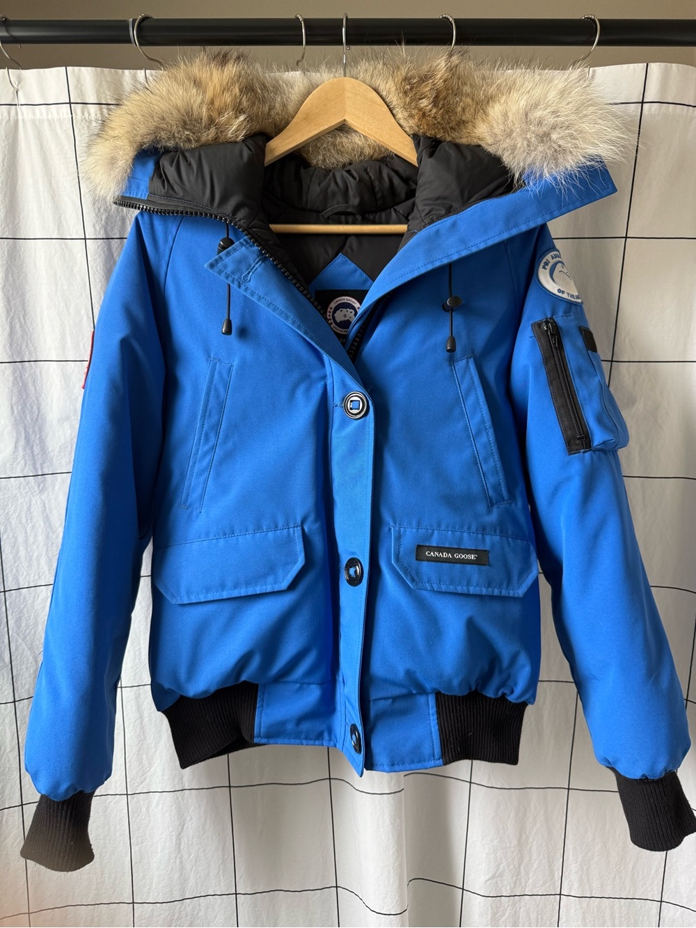Authentic Royal Blue Canada Goose Hooded Bomber with genuine coyote-fur trim